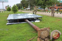 Angin Kencang di Tenggarong Akibatkan Pohon Tumbang