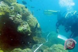 Bali Dukung Rehabilitasi Terumbu Karang