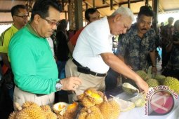 Wisata Makan Buah