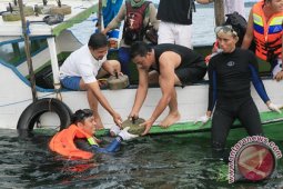 PENANAMAN BIBIT TERUMBU KARANG