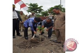 TANAM POHON TREMBESI