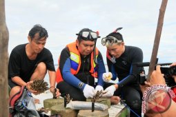 PEMBIBITAN TERUMBU KARANG