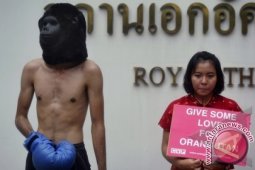Stop 'Thai Boxing' Orangutan
