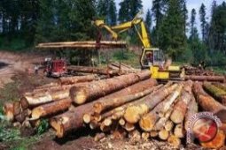 Dishut Batanghari hancurkan jembatan akses "illegal logging"