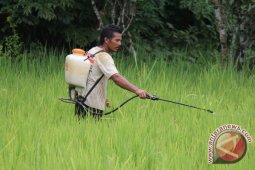 Nilai Tukar Petani Turun
