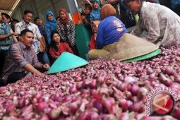 Harga bawang merah gila-gilaan