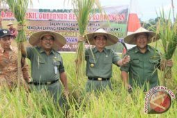 Pemprov Kaltim Optimistis Target Swasembada Beras Tercapai