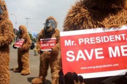 AKSI ORANGUTAN