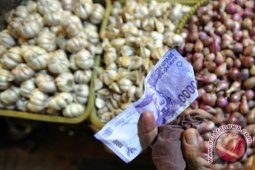 Kenaikan Harga Bawang Tidak Bisa Membangun Sinkronisasi Kebijakan