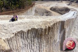 Ribuan hektare hutan produksi Bangka Selatan rusak berat