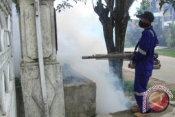 Dinas Kesehatan Penajam Temukan 72 Kasus DBD