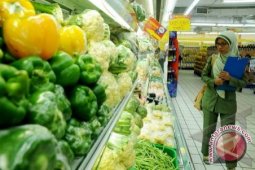 Pemkot Pangkalpinang Kembangkan Abon Dari Sayur dan Buah