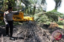 Eksekusi Lahan Sawit