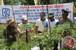 PELUANG USAHA KEDUA