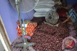 Pasokan Bawang Merah