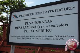 SILO Tanam Bibit Mangrove