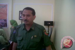 Inflasi Pontianak Desember 2015 Sebesar 2,82 Persen