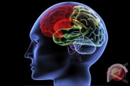 Terganggu karena suara orang makan? Ini sebabnya