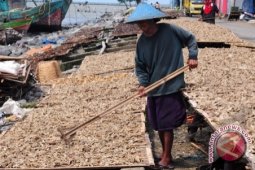 Produksi Olahan Ikan Pangkalpinang Terkendala Sarana Prasarana