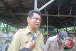 Kaltim Gelar Rakor Populasi Dua Juta Sapi