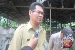 Kelompok Ternak Makroman Manfaatkan kredit dari Bank