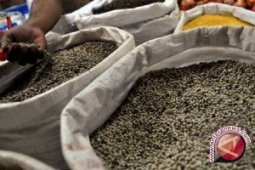 Lada Kaltim Jadi Varietas Unggul Nasional