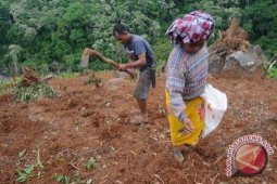 Bupati Bangka Barat Ajak Warga Kembali Berkebun