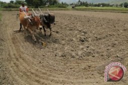 Pemerintah Bangka Terima Hibah Lahan 350 Hektare