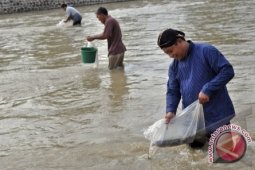 Distanbunnak Babel Kurangi Anggaran Pengadaan Bantuan Benih