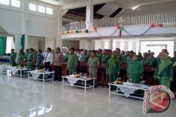 Pemkab gelar Kongres Anak Bangka Selatan 2013