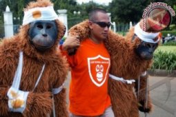 Cegah Pembantaian Orangutan Kalimantan