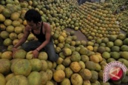 Kementan siap mendukung wujudkan Revolusi Oranye