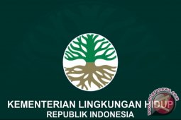 BLH Kubu Raya Siapkan Program Penanaman Pohon Pinggiran Sungai