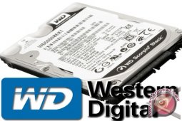 Hard disk Eksternal Dua Tera Product Western Digital