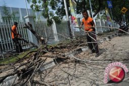 Tebang Pohon Tanpa Izin Diancam Pidana
