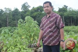 DPRD: Lahan Pertanian di Samarinda Harus Diperhatikan&Acirc;&nbsp;