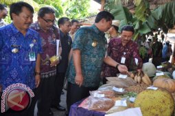 Bali Meraih Tiga Penghargaan Lomba Desa 2017