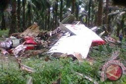 Pilot Tewas di Ladang Perkebunan