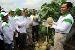 Ewindo Pameran Nasional Perkenalkan Benih Unggul Baru