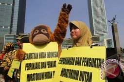 Kampanye Selamatkan Hutan