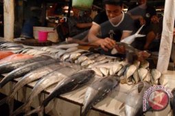 Produksi Ikan Di PPN Sungailiat Capai 731.220