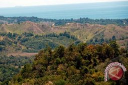 Dishutbun: Sebagian Lahan Bangka Barat Kritis