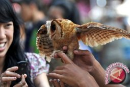 Penyelenggaraan Pameran Flona Capai Rp 1Miliar Lebih
