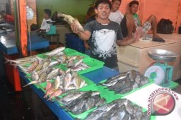 Ketersediaan Ikan Segar di Nunukan Masih Normal