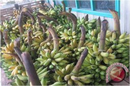 Warga Maradapan Perlukan Pelatihan
