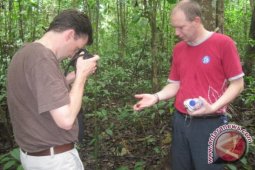 Peneliti: Hutan Prevab Taman Nasional Kutai Membaik