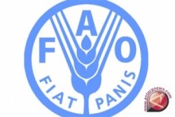 Indonesia dapatkan penghargaan dari FAO
