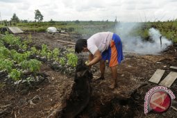 Kabupaten Gambut Raya Alternatif Pengembangan Wilayah