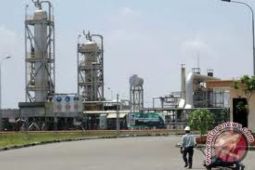 Harga minyak Selasa pagi menguat