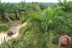 KSPSI: Banyak Perusahaan Perkebunan Belum Laksanakan UMK